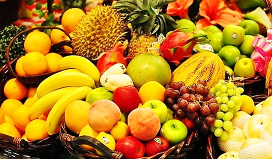 卓越工廠實(shí)拍圖